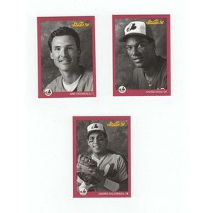 3 Vintage Studio 91 Expos Leaf Inc U.S.A Printed Collectible Baseball Cards